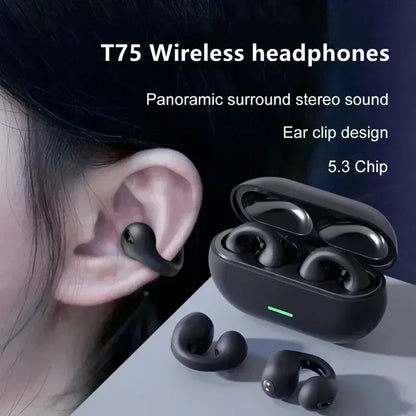 SonicFlex T75 Wireless Sports Earbuds